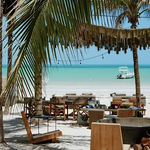 Casa Tortugas Petit & 4*, ホルボックス島 メキシコ